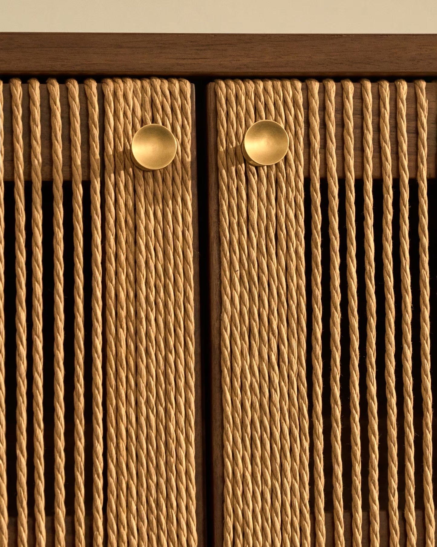Mobile TV Elan
