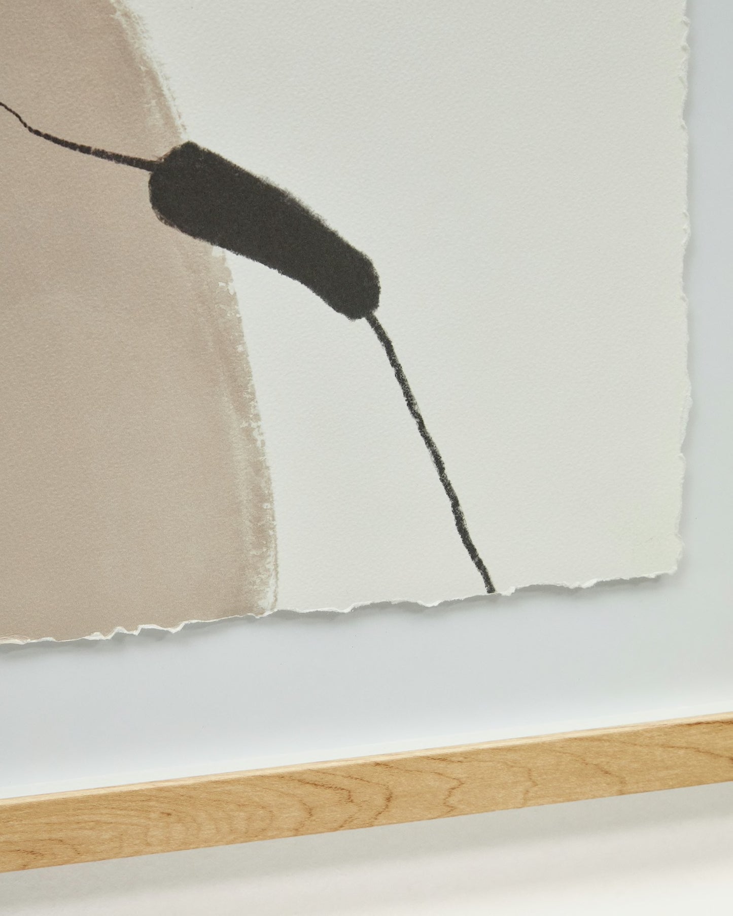 Quadro Torroella 50x70