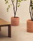 Set Karlina di 2 vasi con piattino in terracotta