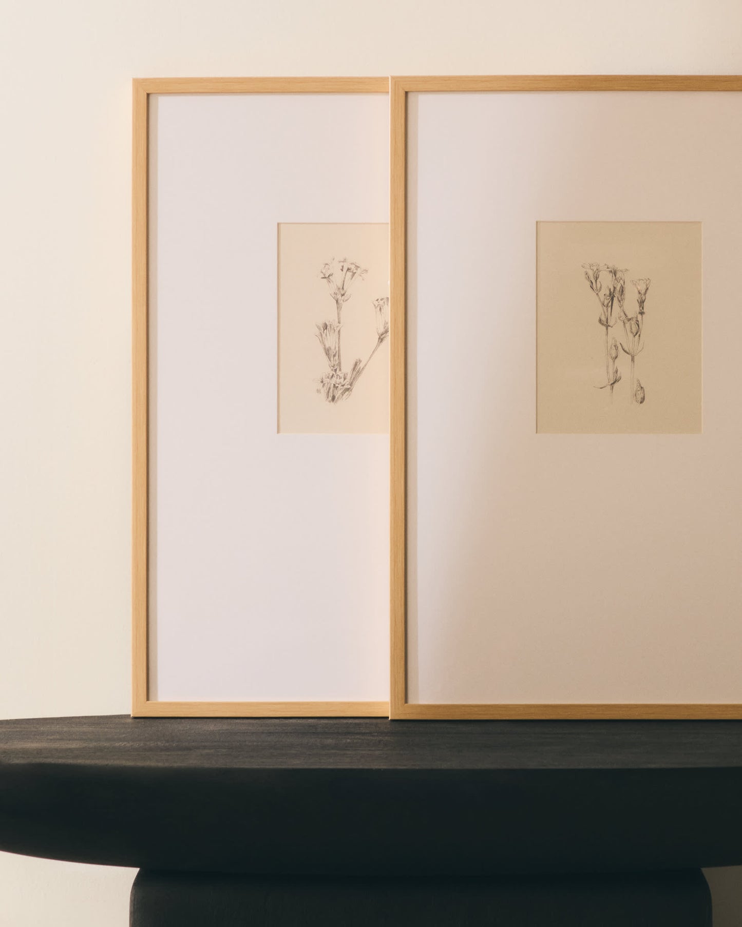 Quadro Lirena illustrazione botanica 50 x 70 cm