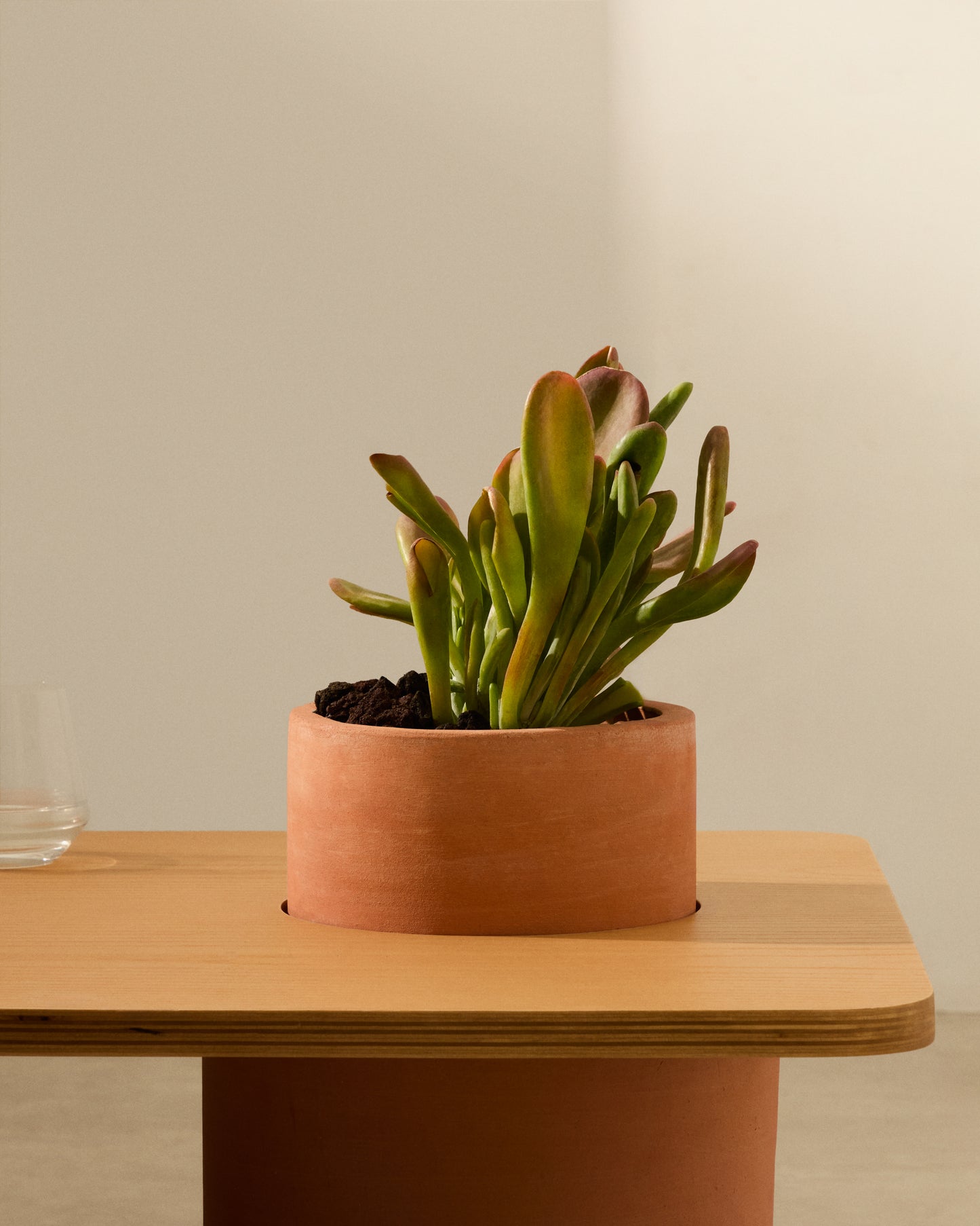 Tavolino Olaria in terracotta e impiallacciatura in rovere con finitura naturale 110 x 60 cm