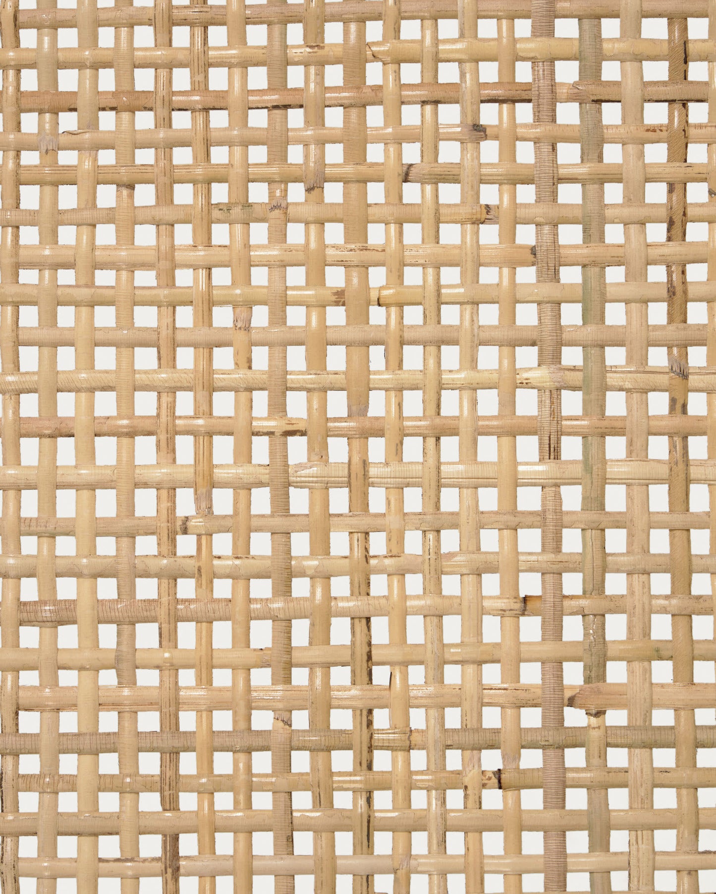 Poltrona Beida in legno massello di teak