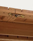 Tavolo allungabile da esterno Hanzel legno massello eucalipto 183 (240) x 100 cm