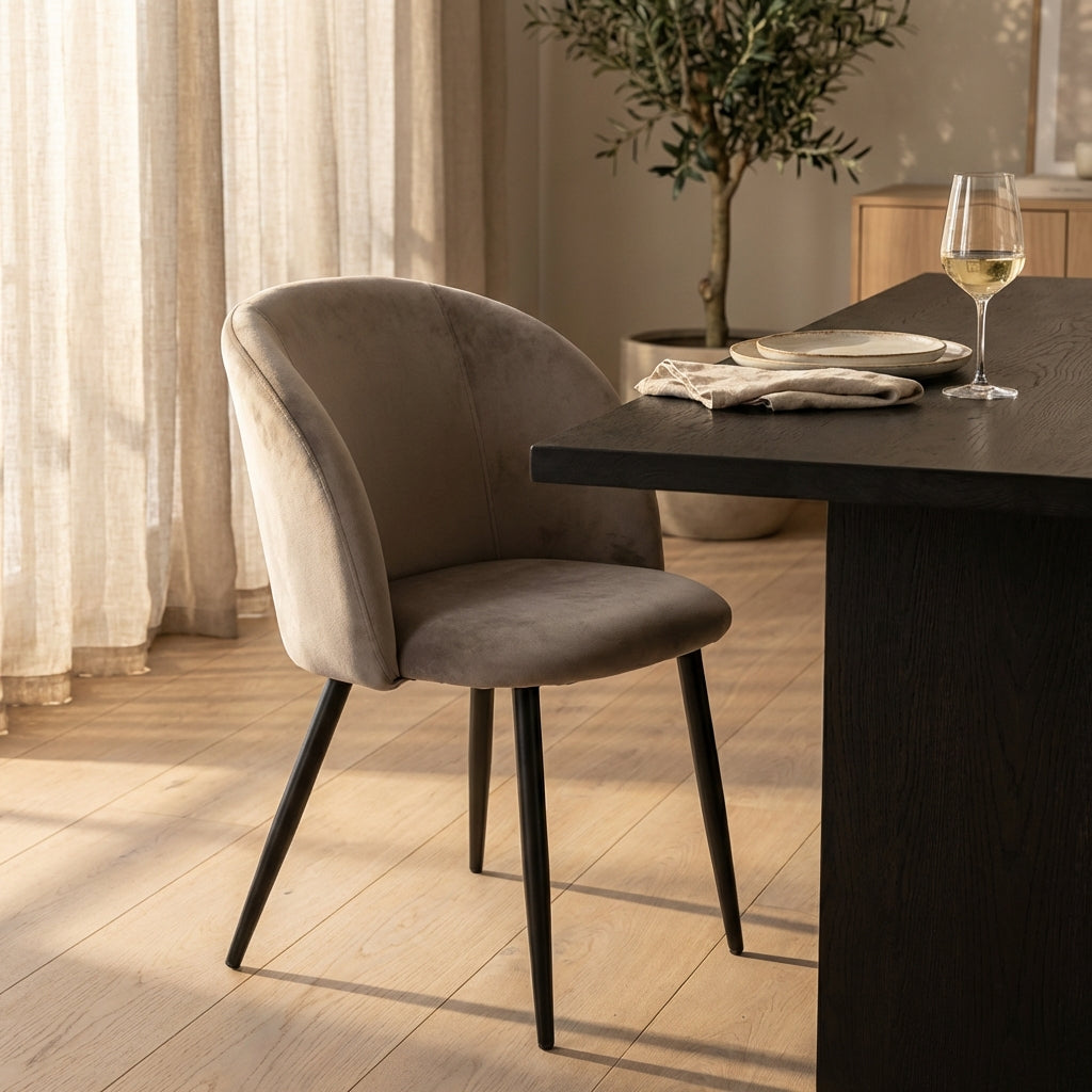 Tortora