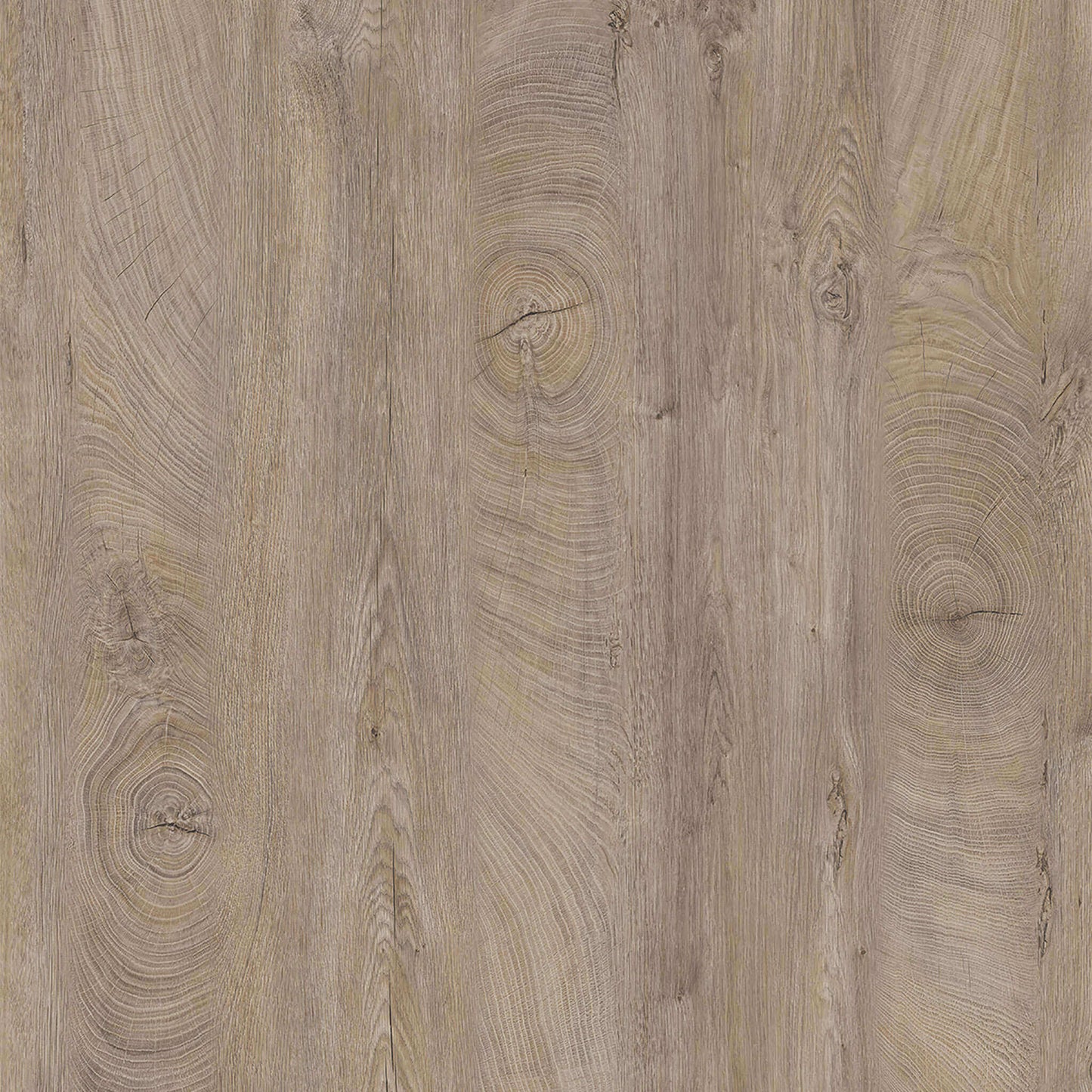 Rovere grigio