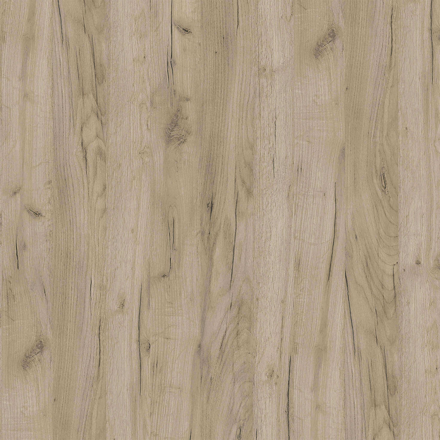 Rovere grigio