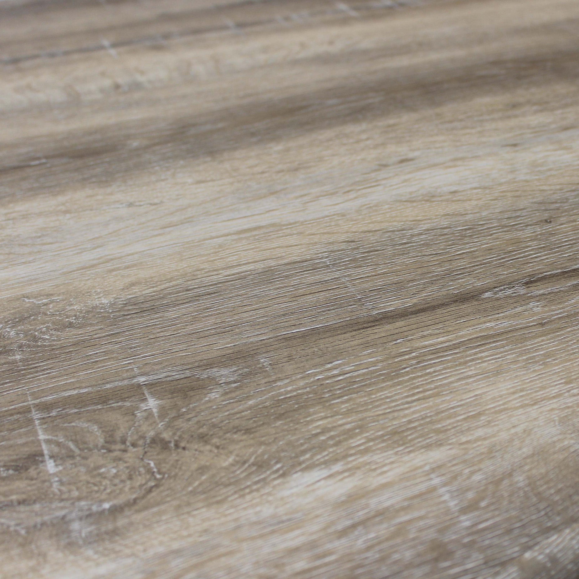 Quercia Chiaro