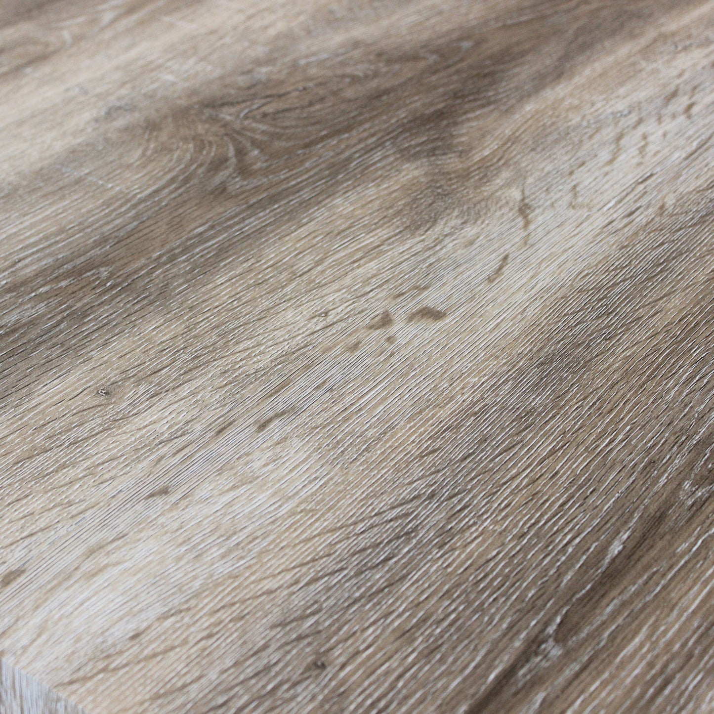 Quercia Chiaro